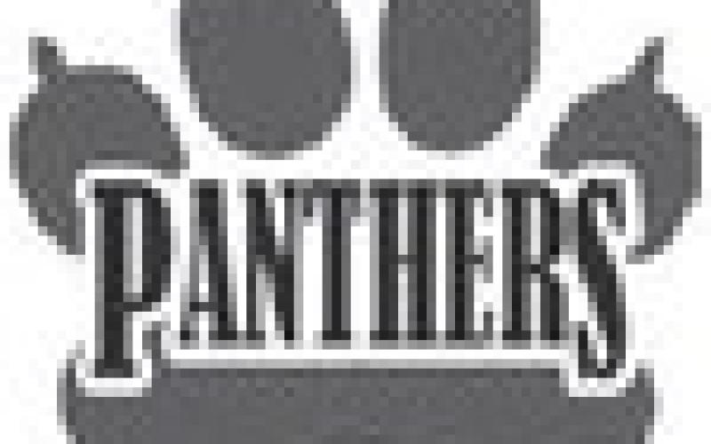 Good Panthers for February