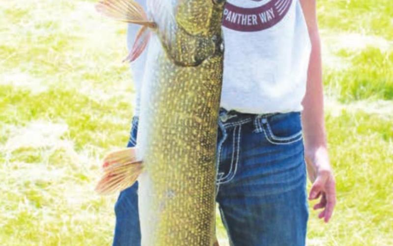 Lunkers from Isabel Fishing Tournament