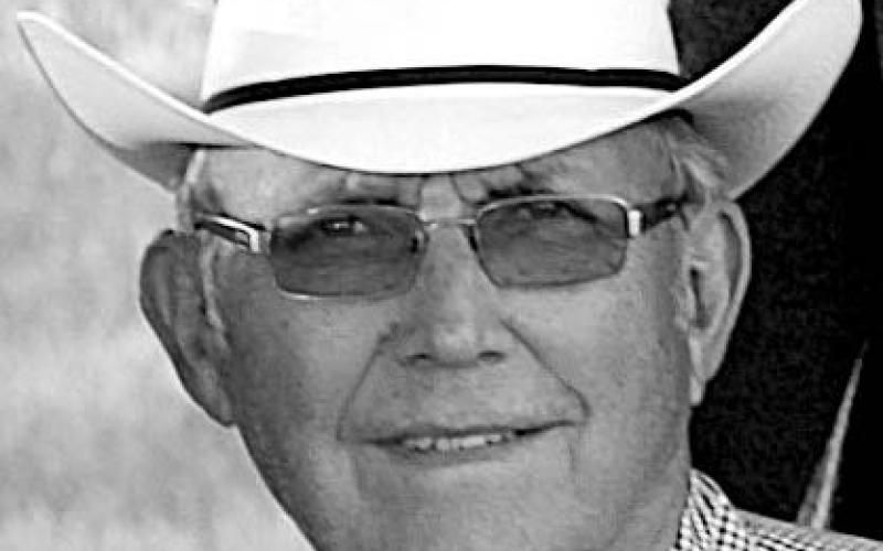 Leon J. Vasek