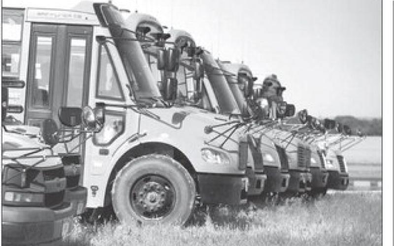 Fleet of buses