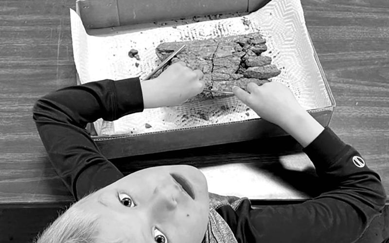 Fossil prep workshop