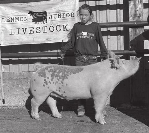 	Local 4-Hers participate in Lemmon Jr. Livestock Show