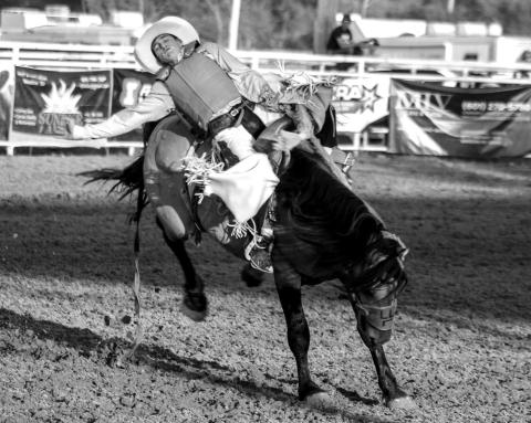 Tayson Jones, Howes, tries to get all he can out of a bucking horse during the Faith Stock Show Rodeo.