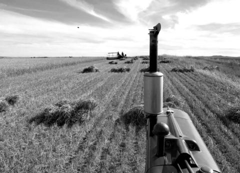 The harvesting machines of yesteryear will be demonstrated at the Coal Springs Threshing Bee and Antique Show September 25-27. This year the spotlight will be on Massey Harris and Massey Ferguson models.