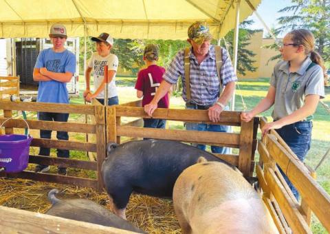 RIGHT: Norman Hieb takes a look at the livestock 4-H members brought to the Achievement Day. At right is Bricelyn Pederson. Dewey County does not have judging for livestock so 4-H members will exhibit at the Corson County Fair in McIntosh on August 13. Photos by Kathy Nelson