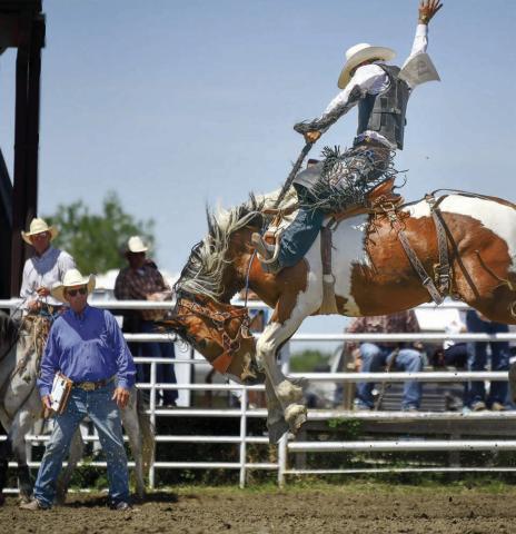 Faith cowboy Cooper Schuelke (right) punched his ticket to the State High School Finals Rodeo with a pair of winning saddle bronc rides at the Northwest Region Rodeo held last weekend in Dupree. Photo by Chuck Miner