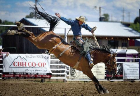 Jake Kammerer of Philip scored a nice ride in the saddle bronc event in Ft. Pierre recently and is expected to be among the area’s top talent to turn out for the Days of 1910 Rodeo in Timber Lake next weekend. Photo by Chuck Miner