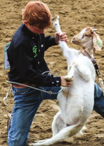 Fletcher Birkeland, Dupree, wraps up a goat during the 4-H rodeo in Faith. Photos by Jon Flatland