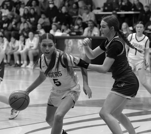 Dupree guard Maddlyn Red Bear (5) looks for a lane to the hoop while being defended by Josie Boldt of Timber Lake. The Tigers were able to slip past the Lady Panthers by one point. Timber Lake hosts Newell on Thursday, Feb. 12, and hosts Kadoka Tuesday, Feb. 17 in the regular season finale with regional tournament play set to begin Friday, Feb. 20. Topic Photo/Marie DuPreez