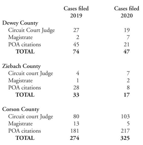 Criminal case summary for 2020