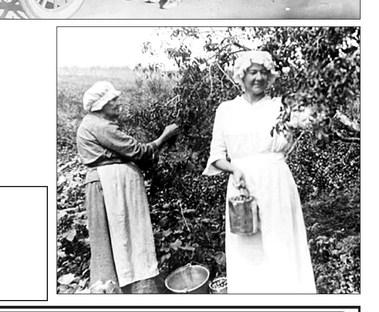 RIGHT: Belle Bramble and her mother harvesting fruit. The family was instrumental in establishing Trinity Lutheran Church in Mobridge.