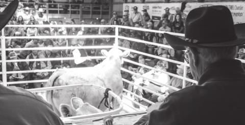 L-T Ranch Sale