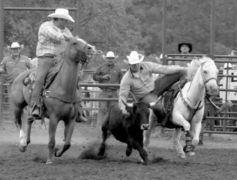 Brent Woodward of Dupree lines up a steer before dismounting during Sunday’s competition.