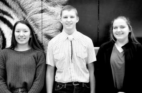 Three earn superiors