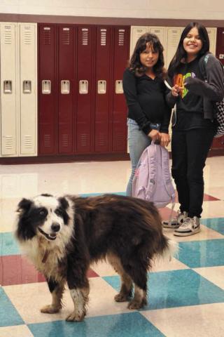 Dupree students were off to a dog-gone great start to the school year when a local dog tried to attend. Sad for him, as he just wanted to learn with his student friends, he was escorted out.