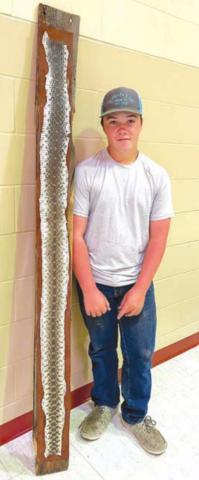 Snake wrangler