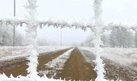 Dense fog and heavy frost