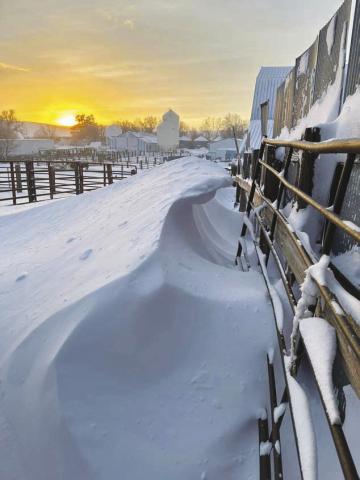 The sun sets on a 6-foot wave snowdrift in a corral at the Jason and Megan Hulm ranch near Glad Valley on Friday after a three-day winter storm brought freezing rain followed by heavy snow and high winds that forced school and business closures, event cancellations, and no travel advisories. Snow depths ranging from 16 inches to 24 inches were reported across the region with wind speeds as high as 60 miles an hour in Dewey County. Photo courtesy of Megan Hulm