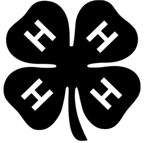 Alt Text for Image