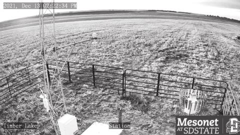 Live images from Timber Lake are now available on the new Mesonet live cam, which records data and images from the Timber Lake City Airport 24-7. Similar Mesonet stations are at 40 locations throughout the state, including Eagle Butte, McIntosh, McLaughlin, Lemmon, Bison, Gettysburg, Union Center and Bowdle.