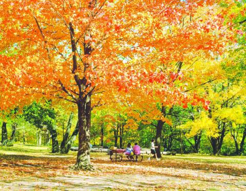 Photo by Jon Flatland Bright colors and falling leaves indicate that fall is in full swing. There is no prettier place this time of year than Little Moreau Recreation Area south of Timber Lake.