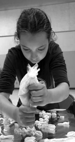 Cupcakes and fossils: Always something new to learn