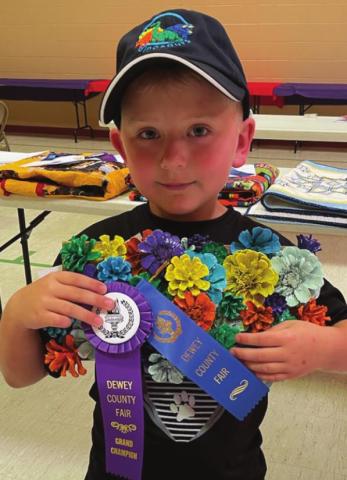 Isaac Schweitzer won the Grand Champion ribbon for creative hobbies in the open class.