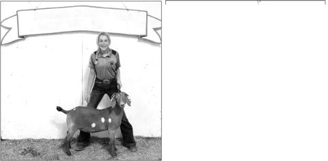 Talley Locken and her goats earned champion and reserve champion honors at the Corson County Fair.