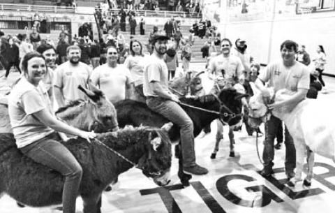 Donkey ball