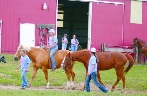 Cowgirl Heaven