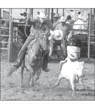 Focus on Rodeo