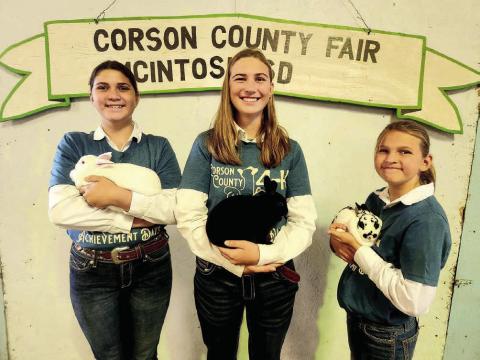 Showing their rabbits during the fair were Reva, Darla and Lila Barnes.
