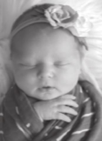 Tilly Bry Al born Aug. 16