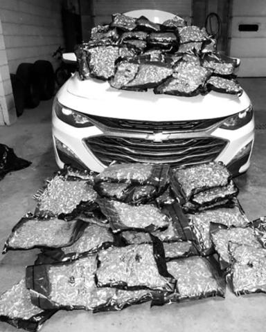 A minor traffic violation in McLaughlin led to a big discovery last week when an 80-pound stash of marijuana (pictured) along with cash and other drugs were found in the vehicle. A 63-year-old man from Olympia, WA, is currently in custody facing multiple charges.