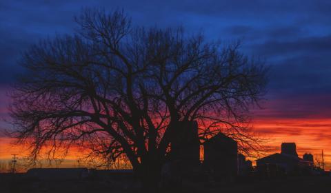 Isabel skyline at sunset