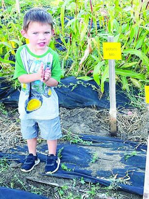 Koleson Long inspects the Community Garden at the Harvest Festival (More inside)