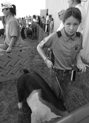 Josie Boldt was the Grand Champion in the Beginner’s Round Robin Showmanship judging.