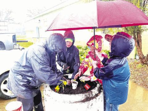 Despite a steady rain, Cordewzees 4-H Club members planted flowers on Isabel’s Main Street during their May 12 meeting. At the request of the American Legion Auxiliary the plants are red, white and blue. Pictured L-R are Megan Zeug, Isaac Zeug and Ada O’Leary planting flowers while Eli Zeug shelters them from the rain.