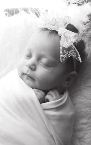 Timber Rose born December 18
