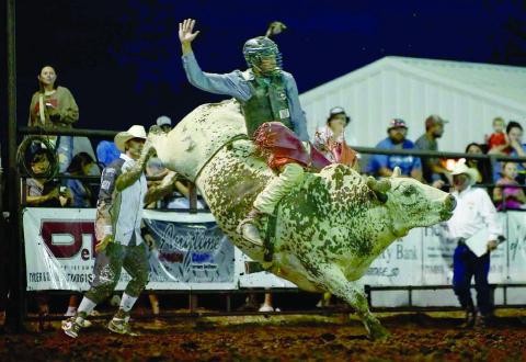 Left, Chazz Gabe of Timber Lake scored 82 points to win the bull riding event at the Herreid Rodeo last weekend. Gabe currenly leads the South Dakota Rodeo Association standings. Photo by Chuck Miner