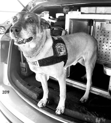 Corson K9 unit completes re-certification