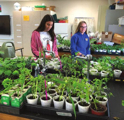 High school students Payton Booth and Cassie Harris water flower and vegetable plants that were grown from seed at Timber Lake School in preparation for planting in the new Healing Hands (Owaste Napikceya) community garden. Volunteers are needed to help with planting and tending the garden, which will be located on school property behind the former Linderman house.