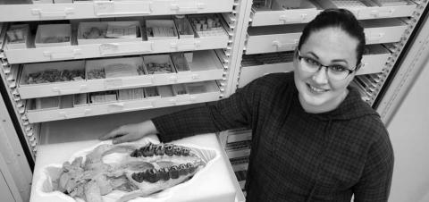 Mindy Householder with a Subhyracodon (Rhino) fossil that was found in western North Dakota. “It was one of the first things I prepped when we moved to North Dakota so I'm rather fond of it,” she said.