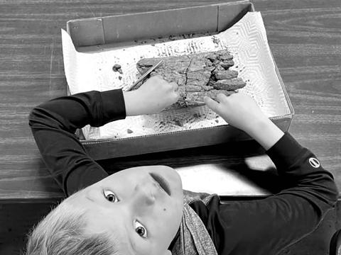 Fossil prep workshop