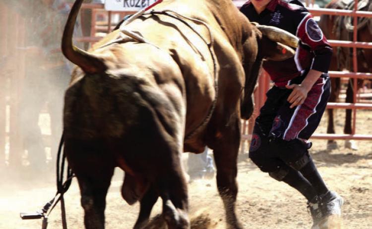 Bullfighter Dayton Spiel of Parade was injured during the Sitting Bull Stampede last year after being struck in the eye with a bull bell. The Stampede committee will provide each bull rider this year with a Licabell - a pliable reubber alternative to the traditional metal bell. Licabell is donating a portion of the proceeds from the purchase to Spiel.