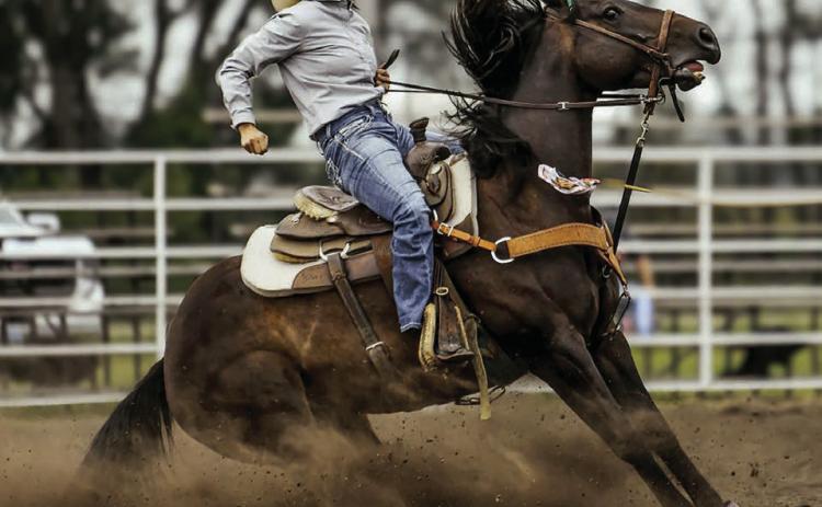 Isabel cowgirl Jacque Peterson stops her horse on a dime while competing in ladies breakaway roping during recent rodeo action. With just weeks remaining in the regular season, Peterson sits atop the ladies breakaway standings.