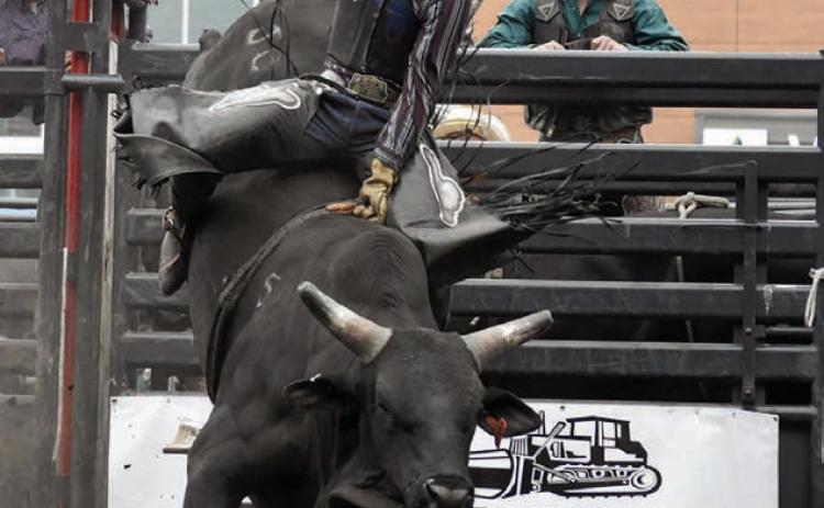 Cole Brewer (left) of Eagle Butte, the 2025 INFR Bull Riding Champion, has been invited to join the Mavericks professional bull riding team in training camp.