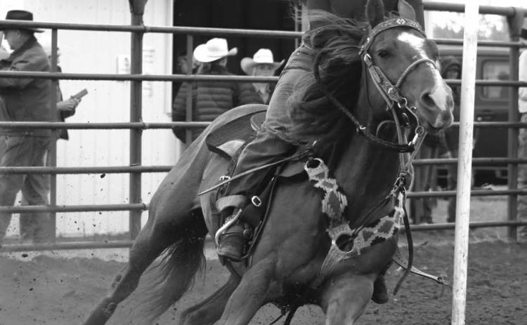 Brelan Maher of Isabel closed her eyes and hung on as she guided her horse around a pole during the Dewey County 4-H Rodeo held in Timber Lake on Sunday, May 26. 4-H members from across the region competed in the annual event. Photo by Jon Flatland Check out the Topic Facebook page for many more photos from the Dewey Co. 4-H and Timber Lake HS rodeos and the OK Livestock Steer Wrestling Shootout!