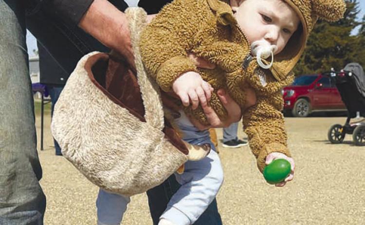 Little Denver Enright was one of the youngest participants at the annual Dewey County 4-H Easter egg hunt, which was held April 11, after being postponed due to weather on Easter weekend. Denver’s dad, J.D., offered some assistance. (More inside.) Topic Photo/Kathy Nelson
