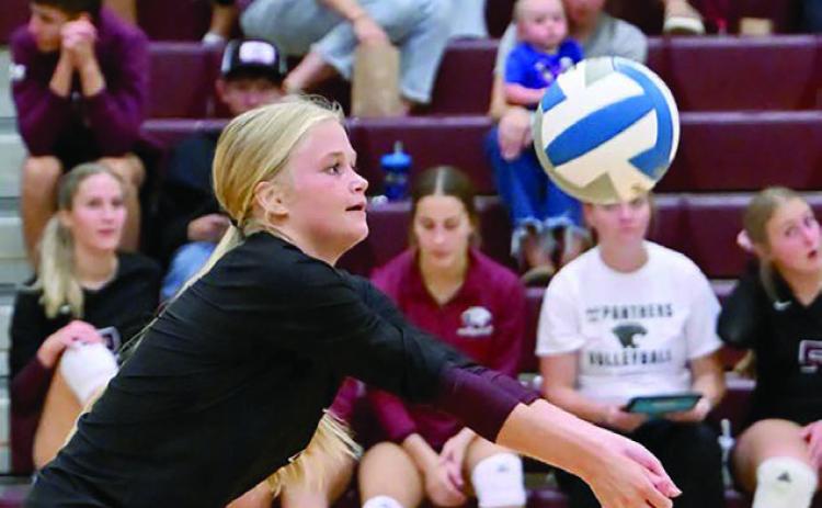 Hailey Roggow (above) bumps the ball during Timber Lake’s season opener against Harding County last week. The Ranchers upended the Panthers 3-0 in the match. (left) The Panthers celebrate winning a point after a long volley. Photos by Marie Du Preez